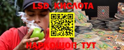 крисы Тулун