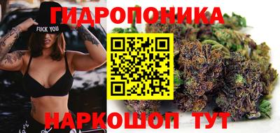 дмт Тверь