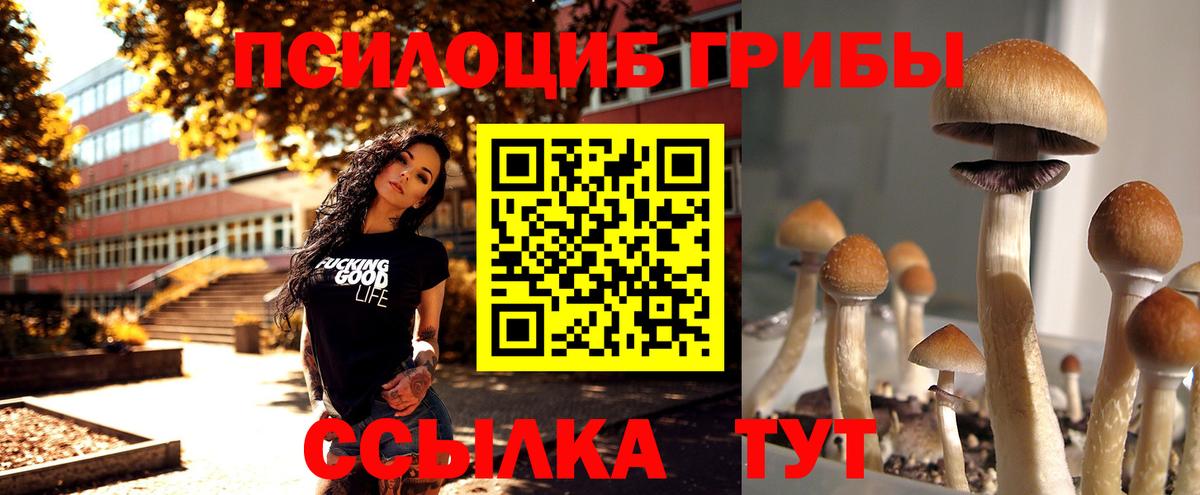 Галлюциногенные грибы мицелий  Вход с VPN  Муравленко  Псилоцибиновые грибы Psilocybe 